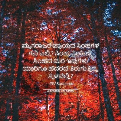 Picture 05 - ನಹೂಮನು 2:11 KANIRV - ಮೃಗರಾಜರ ಪ್ರಾಯದ - Bible Verse Picture