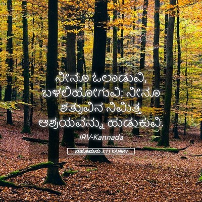 Picture 05 - ನಹೂಮನು 3:11 KANIRV - ನೀನೂ ಓಲಾಡುವಿ, - Bible Verse Picture