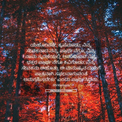 Picture 05 - ನೆಹೆಮೀಯನು 1:11 KANIRV - ಯೆಹೋವನೇ, ಕೃಪೆಮಾಡು; - Bible Verse Picture