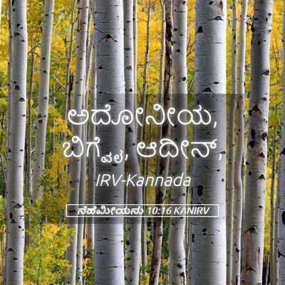Picture 05 - ನೆಹೆಮೀಯನು 10:16 KANIRV - ಅದೋನೀಯ, ಬಿಗ್ವೈ, - Bible Verse Picture