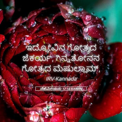 Picture 05 - ನೆಹೆಮೀಯನು 12:16 KANIRV - ಇದ್ದೋವಿನ ಗೋತ್ರದ - Bible Verse Picture