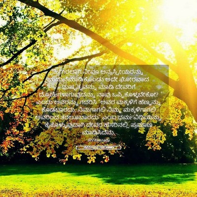 Picture 05 - ನೆಹೆಮೀಯನು 13:27 KANIRV - ಹೀಗಿರಲಾಗಿ ನೀವೂ - Bible Verse Picture