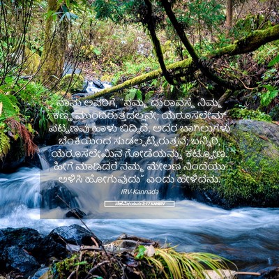 Picture 05 - ನೆಹೆಮೀಯನು 2:17 KANIRV - ನಾನು ಅವರಿಗೆ, “ನಮ್ಮ - Bible Verse Picture