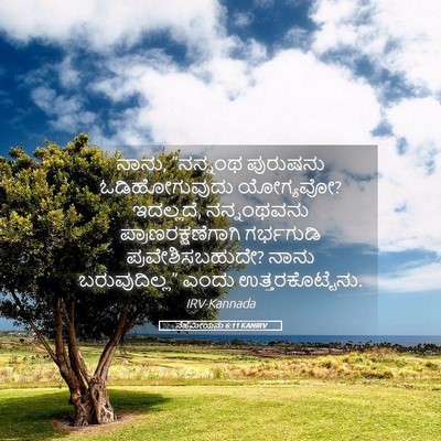 Picture 05 - ನೆಹೆಮೀಯನು 6:11 KANIRV - ನಾನು, “ನನ್ನಂಥ - Bible Verse Picture
