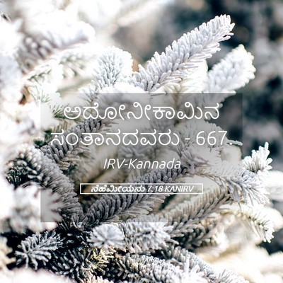 Picture 05 - ನೆಹೆಮೀಯನು 7:18 KANIRV - ಅದೋನೀಕಾಮಿನ - Bible Verse Picture
