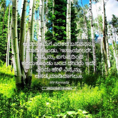 Picture 05 - ನೆಹೆಮೀಯನು 9:18 KANIRV - ಅವರು ತಮಗೆ ಎರಕದ - Bible Verse Picture