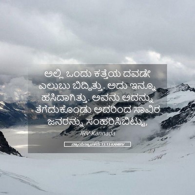 Picture 05 - ನ್ಯಾಯಸ್ಥಾಪಕರು 15:15 KANIRV - ಅಲ್ಲಿ ಒಂದು ಕತ್ತೆಯ - Bible Verse Picture