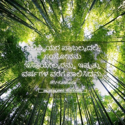 Picture 05 - ನ್ಯಾಯಸ್ಥಾಪಕರು 15:20 KANIRV - ಫಿಲಿಷ್ಟಿಯರ - Bible Verse Picture
