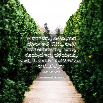 Picture 05 - ನ್ಯಾಯಸ್ಥಾಪಕರು 15:5 KANIRV - ಆ ನರಿಗಳನ್ನು - Bible Verse Picture