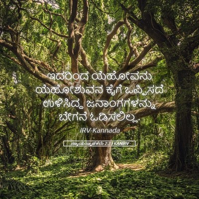 Picture 05 - ನ್ಯಾಯಸ್ಥಾಪಕರು 2:23 KANIRV - ಇದರಿಂದ ಯೆಹೋವನು - Bible Verse Picture