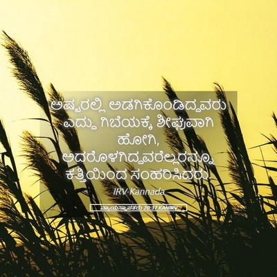 Picture 05 - ನ್ಯಾಯಸ್ಥಾಪಕರು 20:37 KANIRV - ಅಷ್ಟರಲ್ಲಿ - Bible Verse Picture