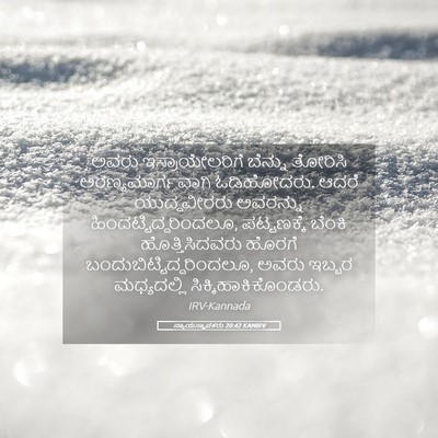 Picture 05 - ನ್ಯಾಯಸ್ಥಾಪಕರು 20:42 KANIRV - ಅವರು ಇಸ್ರಾಯೇಲರಿಗೆ - Bible Verse Picture