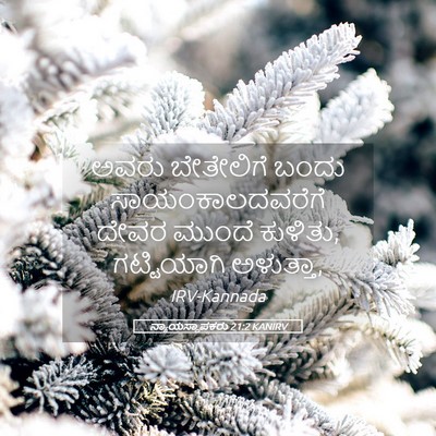Picture 05 - ನ್ಯಾಯಸ್ಥಾಪಕರು 21:2 KANIRV - ಅವರು ಬೇತೇಲಿಗೆ - Bible Verse Picture
