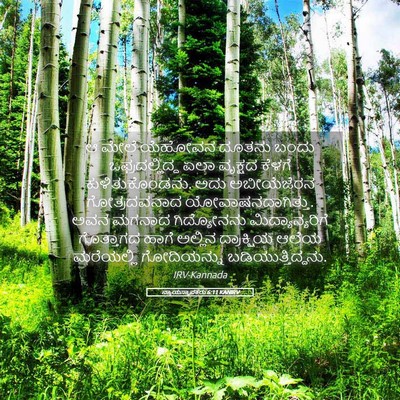 Picture 05 - ನ್ಯಾಯಸ್ಥಾಪಕರು 6:11 KANIRV - ಆ ಮೇಲೆ ಯೆಹೋವನ - Bible Verse Picture