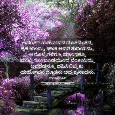 Picture 05 - ನ್ಯಾಯಸ್ಥಾಪಕರು 6:21 KANIRV - ಅನಂತರ ಯೆಹೋವನ - Bible Verse Picture