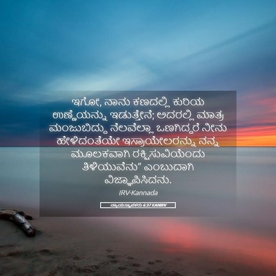 Picture 05 - ನ್ಯಾಯಸ್ಥಾಪಕರು 6:37 KANIRV - ಇಗೋ, ನಾನು ಕಣದಲ್ಲಿ - Bible Verse Picture