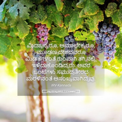 Picture 05 - ನ್ಯಾಯಸ್ಥಾಪಕರು 7:12 KANIRV - ಮಿದ್ಯಾನ್ಯರೂ, - Bible Verse Picture