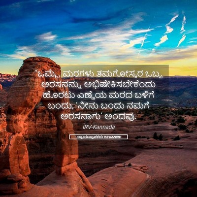 Picture 05 - ನ್ಯಾಯಸ್ಥಾಪಕರು 9:8 KANIRV - “ಒಮ್ಮೆ, ಮರಗಳು - Bible Verse Picture