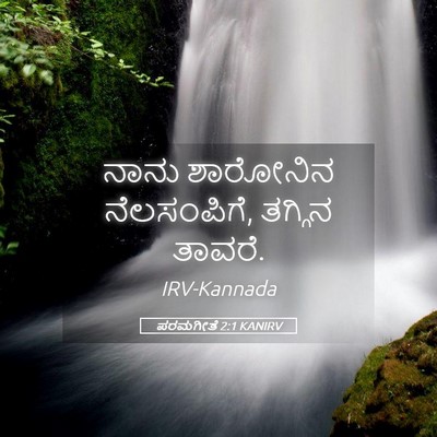 Picture 05 - ಪರಮಗೀತೆ 2:1 KANIRV - ನಾನು ಶಾರೋನಿನ - Bible Verse Picture