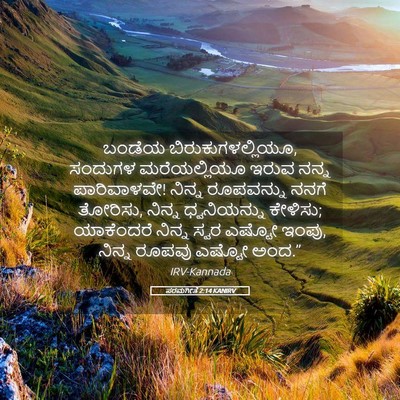 Picture 05 - ಪರಮಗೀತೆ 2:14 KANIRV - ಬಂಡೆಯ - Bible Verse Picture