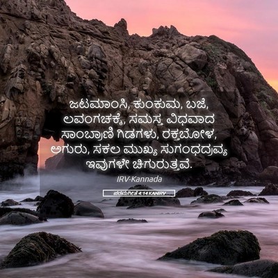 Picture 05 - ಪರಮಗೀತೆ 4:14 KANIRV - ಜಟಮಾಂಸಿ, ಕುಂಕುಮ, - Bible Verse Picture