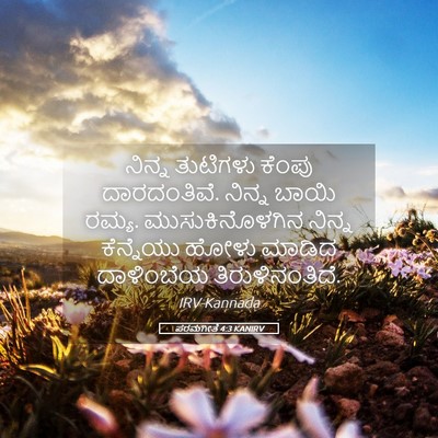 Picture 05 - ಪರಮಗೀತೆ 4:3 KANIRV - ನಿನ್ನ ತುಟಿಗಳು - Bible Verse Picture