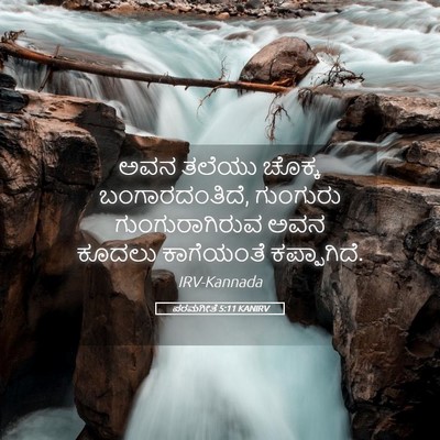 Picture 05 - ಪರಮಗೀತೆ 5:11 KANIRV - ಅವನ ತಲೆಯು ಚೊಕ್ಕ - Bible Verse Picture