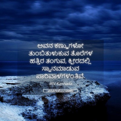 Picture 05 - ಪರಮಗೀತೆ 5:12 KANIRV - ಅವನ ಕಣ್ಣುಗಳೋ - Bible Verse Picture