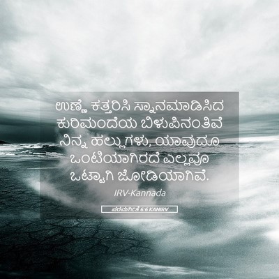 Picture 05 - ಪರಮಗೀತೆ 6:6 KANIRV - ಉಣ್ಣೆ ಕತ್ತರಿಸಿ - Bible Verse Picture