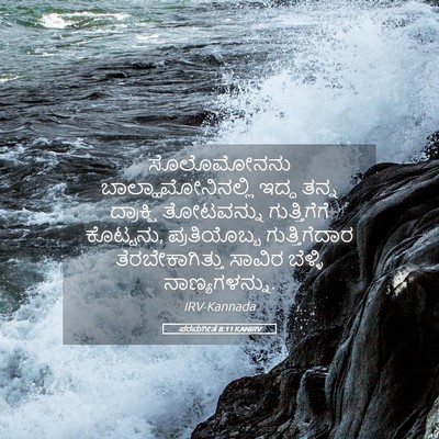 Picture 05 - ಪರಮಗೀತೆ 8:11 KANIRV - ಸೊಲೊಮೋನನು - Bible Verse Picture