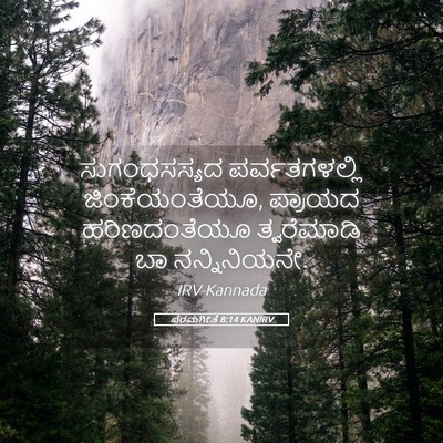 Picture 05 - ಪರಮಗೀತೆ 8:14 KANIRV - ಸುಗಂಧಸಸ್ಯದ - Bible Verse Picture