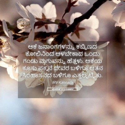 Picture 05 - ಪ್ರಕಟಣೆ 12:5 KANIRV - ಆಕೆ ಜನಾಂಗಗಳನ್ನು - Bible Verse Picture