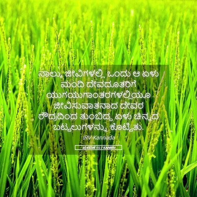Picture 05 - ಪ್ರಕಟಣೆ 15:7 KANIRV - ನಾಲ್ಕು ಜೀವಿಗಳಲ್ಲಿ - Bible Verse Picture