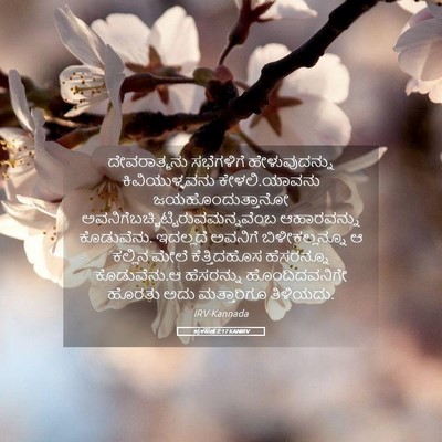 Picture 05 - ಪ್ರಕಟಣೆ 2:17 KANIRV - ದೇವರಾತ್ಮನು - Bible Verse Picture