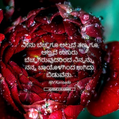 Picture 05 - ಪ್ರಕಟಣೆ 3:16 KANIRV - ನೀನು ಬೆಚ್ಚಗೂ - Bible Verse Picture