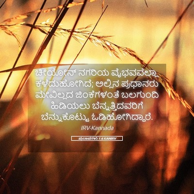 Picture 05 - ಪ್ರಲಾಪಗಳು 1:6 KANIRV - ಚೀಯೋನ್ ನಗರಿಯ - Bible Verse Picture