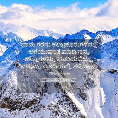 Picture 05 - ಪ್ರಲಾಪಗಳು 3:16 KANIRV - ನಾನು ಗರಸು - Bible Verse Picture