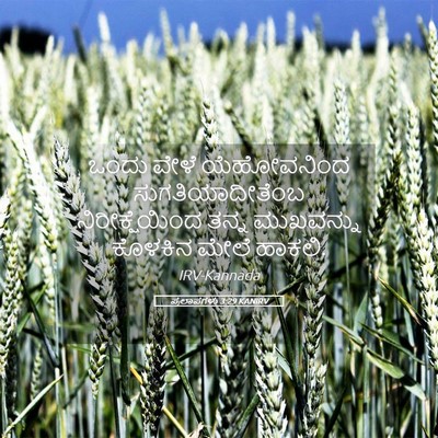 Picture 05 - ಪ್ರಲಾಪಗಳು 3:29 KANIRV - ಒಂದು ವೇಳೆ - Bible Verse Picture