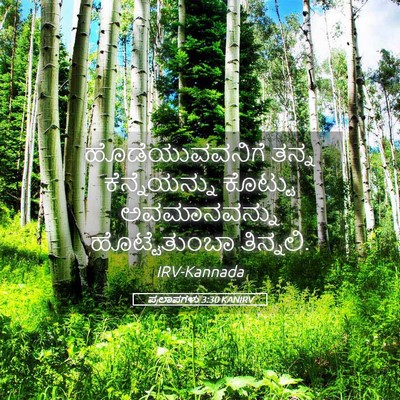Picture 05 - ಪ್ರಲಾಪಗಳು 3:30 KANIRV - ಹೊಡೆಯುವವನಿಗೆ ತನ್ನ - Bible Verse Picture