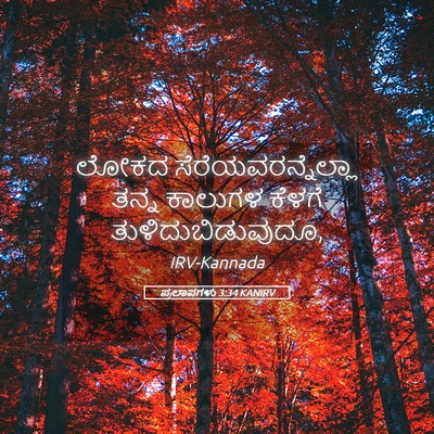 Picture 05 - ಪ್ರಲಾಪಗಳು 3:34 KANIRV - ಲೋಕದ - Bible Verse Picture
