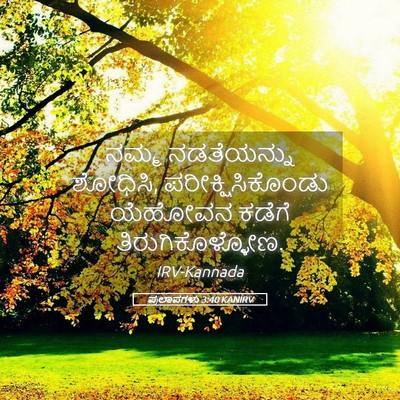 Picture 05 - ಪ್ರಲಾಪಗಳು 3:40 KANIRV - ನಮ್ಮ ನಡತೆಯನ್ನು - Bible Verse Picture