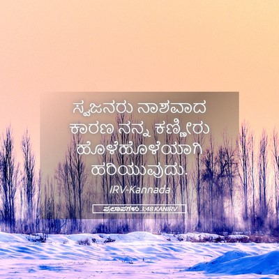 Picture 05 - ಪ್ರಲಾಪಗಳು 3:48 KANIRV - ಸ್ವಜನರು ನಾಶವಾದ - Bible Verse Picture