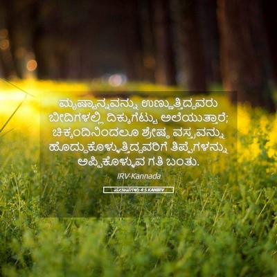 Picture 05 - ಪ್ರಲಾಪಗಳು 4:5 KANIRV - ಮೃಷ್ಟಾನ್ನವನ್ನು - Bible Verse Picture