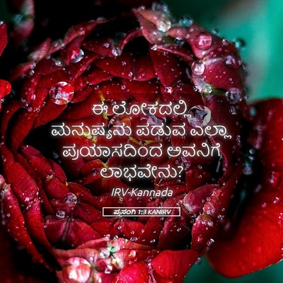 Picture 05 - ಪ್ರಸಂಗಿ 1:3 KANIRV - ಈ ಲೋಕದಲ್ಲಿ - Bible Verse Picture