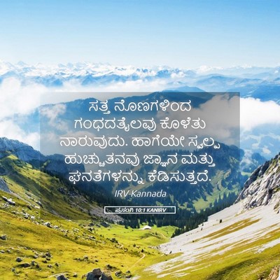 Picture 05 - ಪ್ರಸಂಗಿ 10:1 KANIRV - ಸತ್ತ ನೊಣಗಳಿಂದ - Bible Verse Picture
