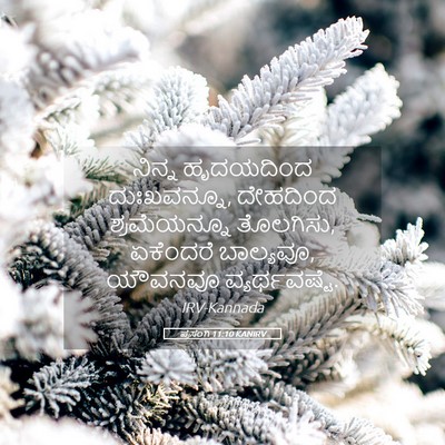 Picture 05 - ಪ್ರಸಂಗಿ 11:10 KANIRV - ನಿನ್ನ ಹೃದಯದಿಂದ - Bible Verse Picture