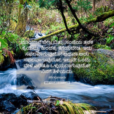 Picture 05 - ಪ್ರಸಂಗಿ 11:6 KANIRV - ಮುಂಜಾನೆ ಬೀಜ - Bible Verse Picture