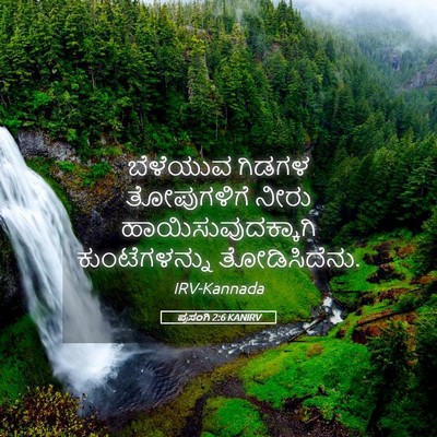 Picture 05 - ಪ್ರಸಂಗಿ 2:6 KANIRV - ಬೆಳೆಯುವ ಗಿಡಗಳ - Bible Verse Picture
