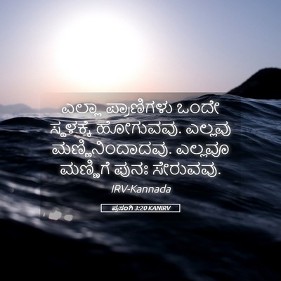 Picture 05 - ಪ್ರಸಂಗಿ 3:20 KANIRV - ಎಲ್ಲಾ ಪ್ರಾಣಿಗಳು - Bible Verse Picture