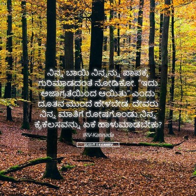 Picture 05 - ಪ್ರಸಂಗಿ 5:6 KANIRV - ನಿನ್ನ ಬಾಯಿ - Bible Verse Picture